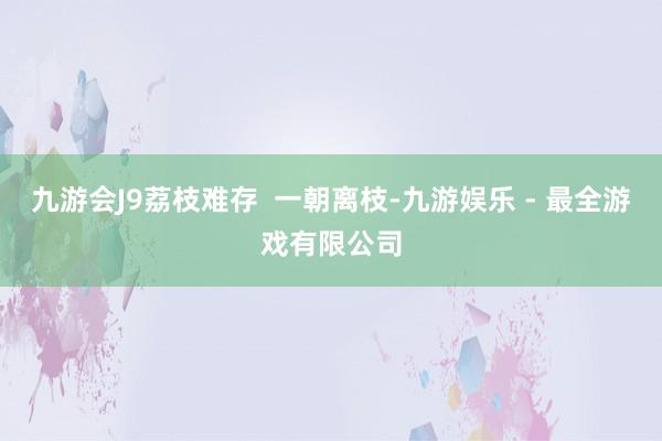 九游会J9荔枝难存  一朝离枝-九游娱乐 - 最全游戏有限公司