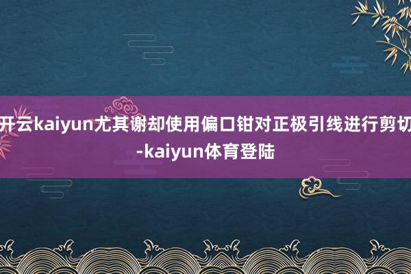 开云kaiyun尤其谢却使用偏口钳对正极引线进行剪切-kaiyun体育登陆