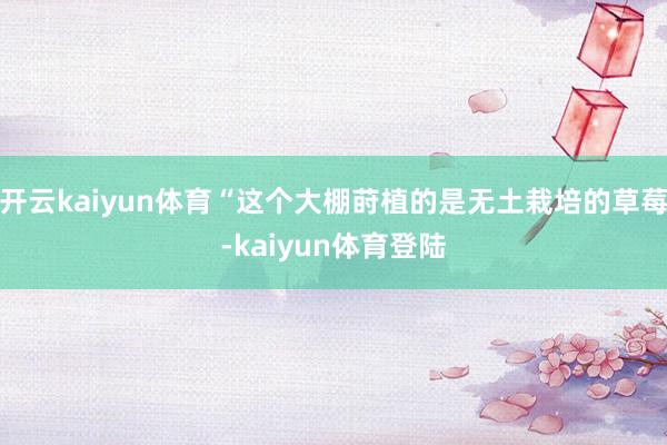 开云kaiyun体育“这个大棚莳植的是无土栽培的草莓-kaiyun体育登陆